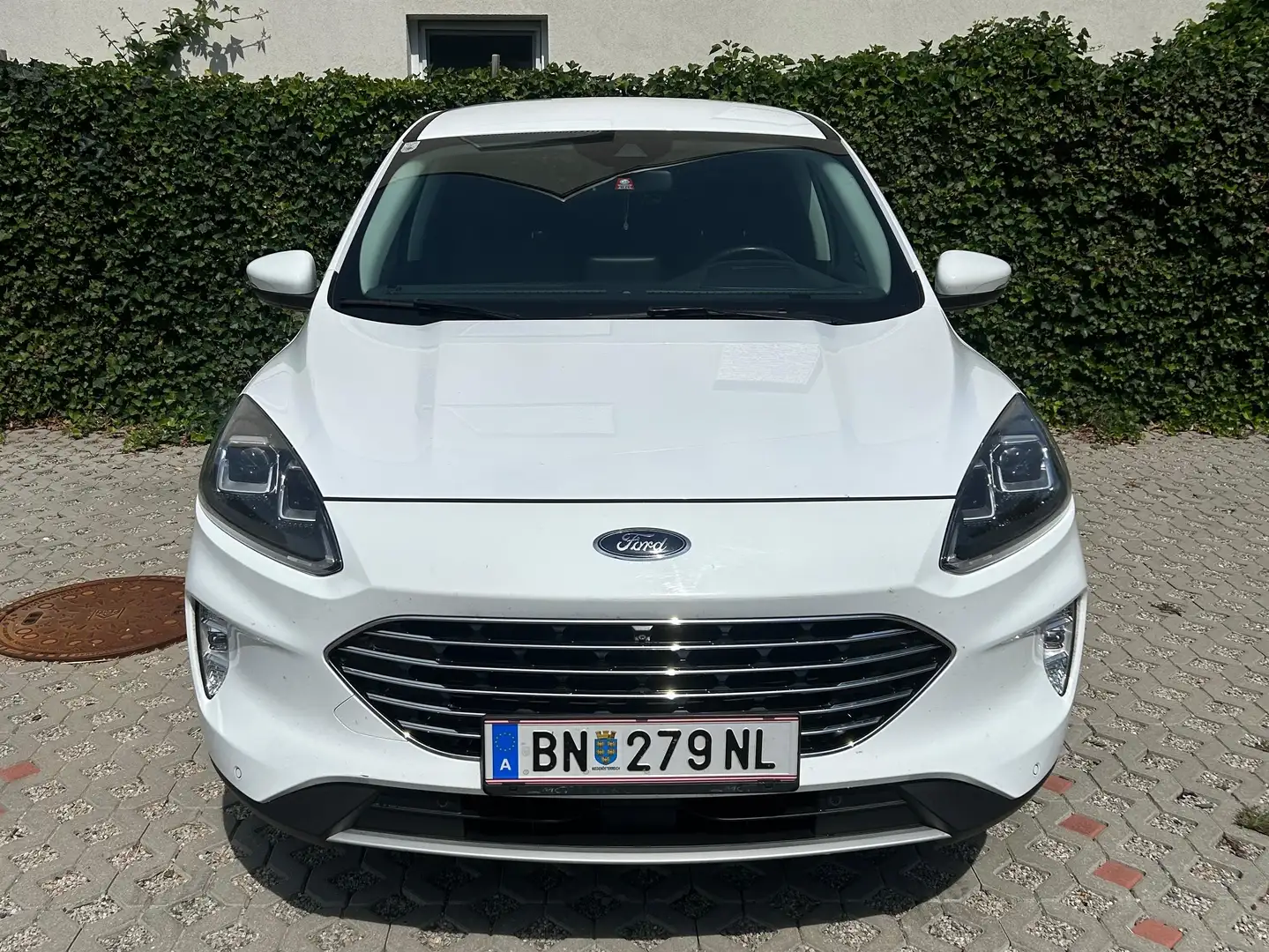 Ford Kuga Kuga 1,5 EcoBlue Titanium X Aut. Titanium X Weiß - 1