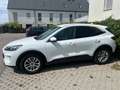 Ford Kuga Kuga 1,5 EcoBlue Titanium X Aut. Titanium X Weiß - thumbnail 2
