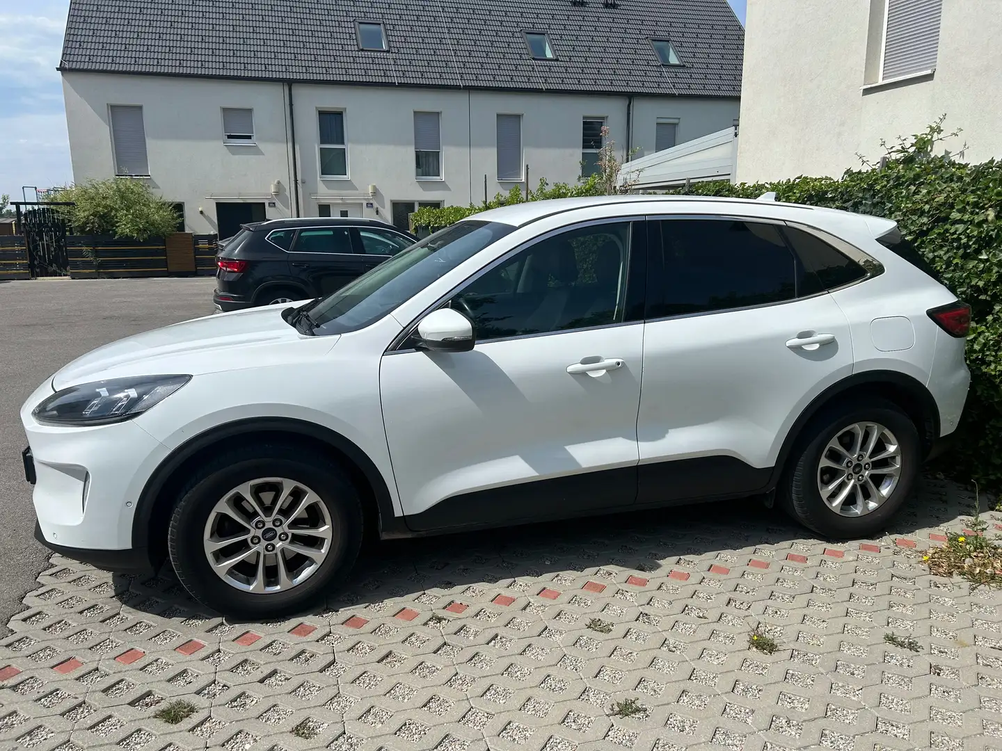 Ford Kuga Kuga 1,5 EcoBlue Titanium X Aut. Titanium X Weiß - 2