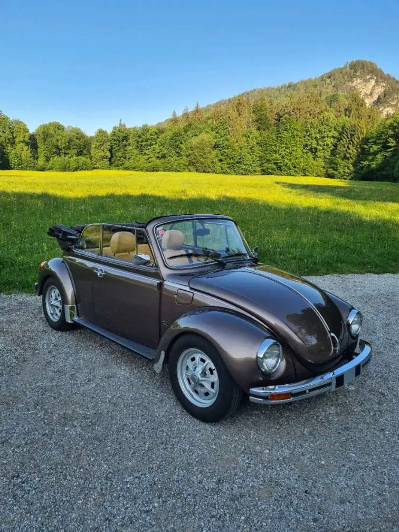 Volkswagen Käfer Cabrio Braun - 2