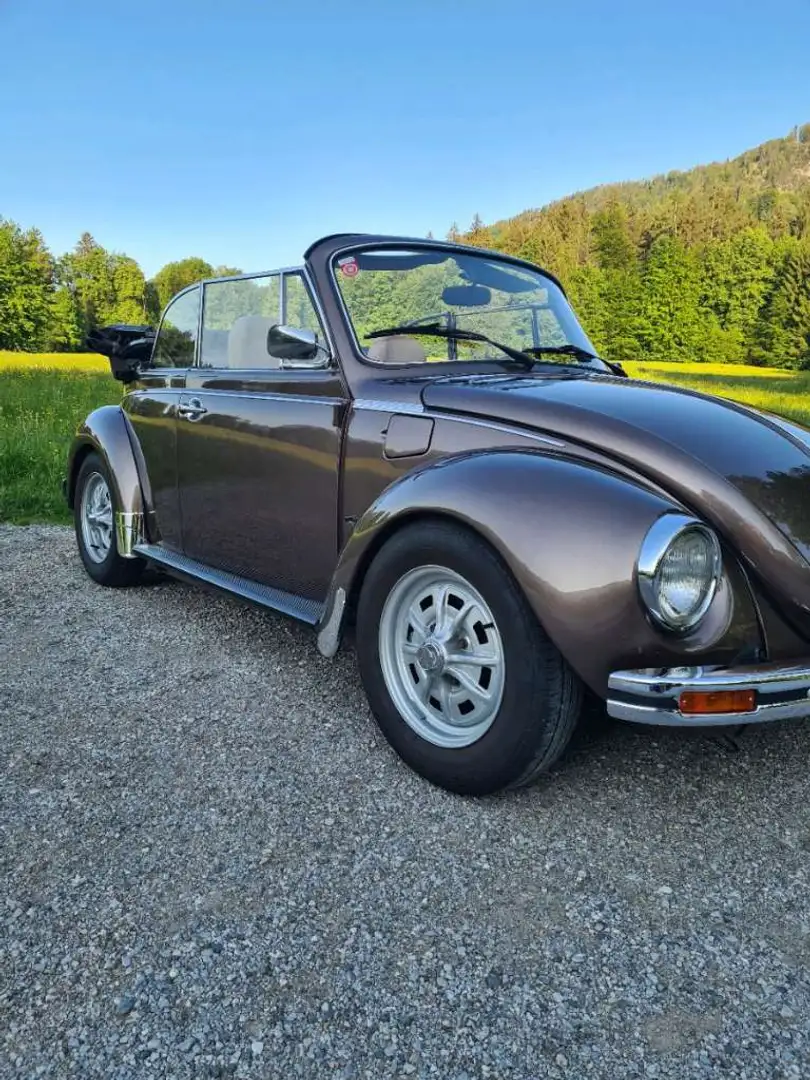 Volkswagen Käfer Cabrio Braun - 1