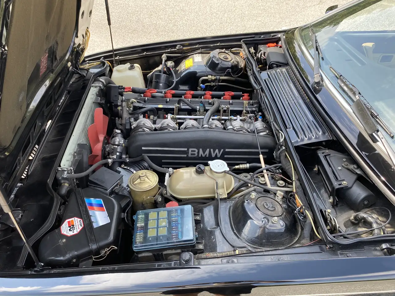 BMW 635 M 635CSi, 286PS, kein Rost, foto 11