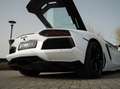 Lamborghini Aventador LP700-4 6.5 V12 (2012) 700 PK | Bianco Isis | Capr Blanco - thumbnail 44