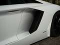Lamborghini Aventador LP700-4 6.5 V12 (2012) 700 PK | Bianco Isis | Capr Blanco - thumbnail 16