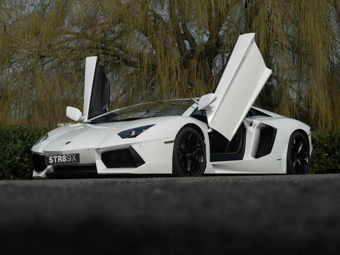 Lamborghini Aventador LP700-4 6.5 V12 (2012) 700 PK | Bianco Isis | Capr Blanco - 1