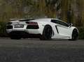 Lamborghini Aventador LP700-4 6.5 V12 (2012) 700 PK | Bianco Isis | Capr Blanco - thumbnail 10