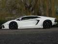 Lamborghini Aventador LP700-4 6.5 V12 (2012) 700 PK | Bianco Isis | Capr Blanco - thumbnail 2