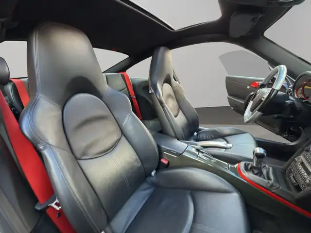 Porsche 911 view 19