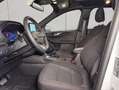 Ford Kuga 2.5 Duratec PHEV ST-LINE Weiß - thumbnail 12