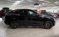 Alfa Romeo Stelvio 2.9 Bi-Turbo Q4 Quadrifoglio AT8 Negro - thumbnail 5