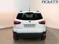 Ford EcoSport 1.0 ECOBOOST 100 CV PLUS Bianco - thumbnail 3