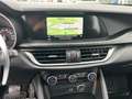 Alfa Romeo Stelvio 2.2 Turbodiesel 190 CV AT8 RWD Executive Gris - thumbnail 11