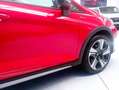 Ford Fiesta 1.0 EcoBoost MHEV Active 125 Rojo - thumbnail 6