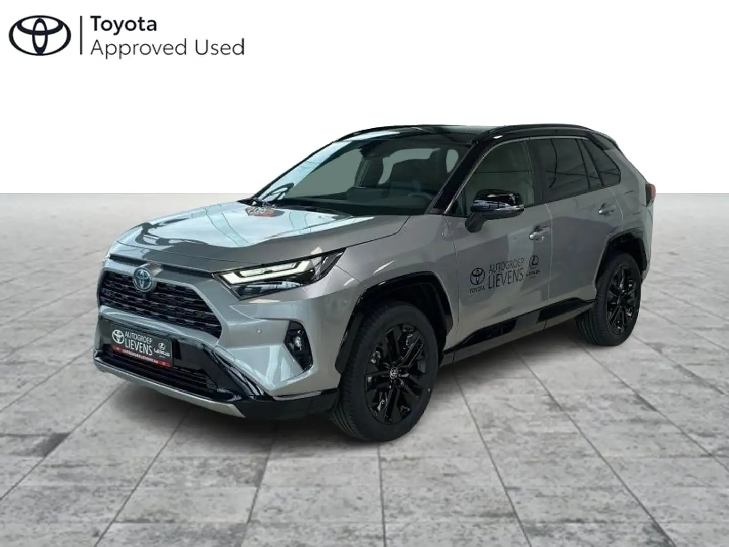 Toyota RAV 4 Style Plus Stříbrná - 1