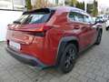 Lexus UX 200 Launch Edition Navi LED SHZ Kamera Tempom Orange - thumbnail 20