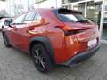 Lexus UX 200 Launch Edition Navi LED SHZ Kamera Tempom Orange - thumbnail 2