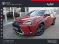Lexus UX 200 Launch Edition Navi LED SHZ Kamera Tempom Orange - thumbnail 1