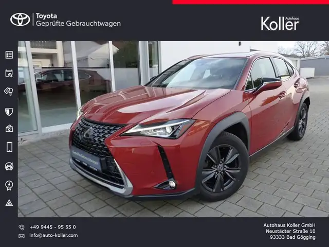 Lexus UX 200 Launch Edition Navi LED SHZ Kamera Tempom