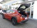 Lexus UX 200 Launch Edition Navi LED SHZ Kamera Tempom Orange - thumbnail 22