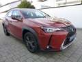 Lexus UX 200 Launch Edition Navi LED SHZ Kamera Tempom Orange - thumbnail 21