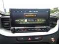 Kia Ceed / cee'd 1,5T DCT Ultimate +Style+Sound+Navi+17Zoll Alb - thumbnail 14