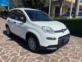Fiat New Panda 1.0 FireFly 70CV Hybrid S&S-ANCHE PER NEOPATENTATI Bianco - thumbnail 3