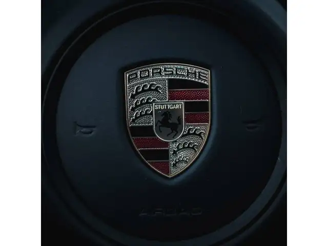 Porsche Panamera 4S E-Hybrid Ansicht 15