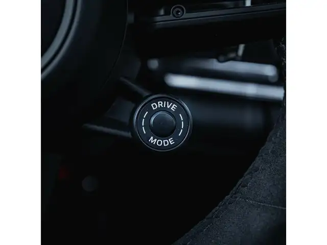Porsche Panamera 4S E-Hybrid Ansicht 21