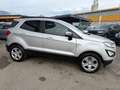 Ford EcoSport 1,0 EcoBoost Trend Silber - thumbnail 3