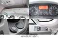 Fiat Ducato 3.0 CNG 9-Sitzer Klima Navi AHK PDC ASR Weiß - thumbnail 19