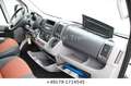 Fiat Ducato 3.0 CNG 9-Sitzer Klima Navi AHK PDC ASR Білий - thumbnail 14