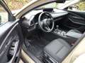 Mazda CX-30 2.5L e-SKYACTIV G 140ps 6AT FWD Homura Gris - thumbnail 7