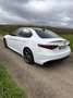 Alfa Romeo Giulia Veloce Q4 Weiß - thumbnail 8