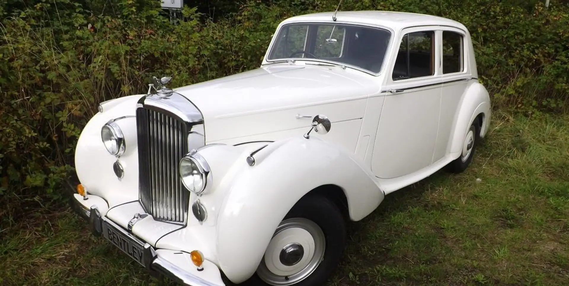Bentley R Type - Understatement pur! Bílá - 2