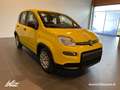 Fiat Panda 1.0 70cv Hybrid PANDA Giallo - thumbnail 7