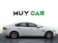Jaguar XF 2.0i4D Pure Aut. 180 Blanco - thumbnail 8