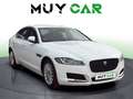 Jaguar XF 2.0i4D Pure Aut. 180 Blanco - thumbnail 1