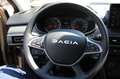 Dacia Sandero III 1.0 TCe 90 Stepway Expression (EURO 6e 1.0 TCe Beige - thumbnail 16