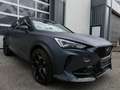 CUPRA Formentor VZ5 4Drive Schalensitze/DCC/Beats/360° Gris - thumbnail 3