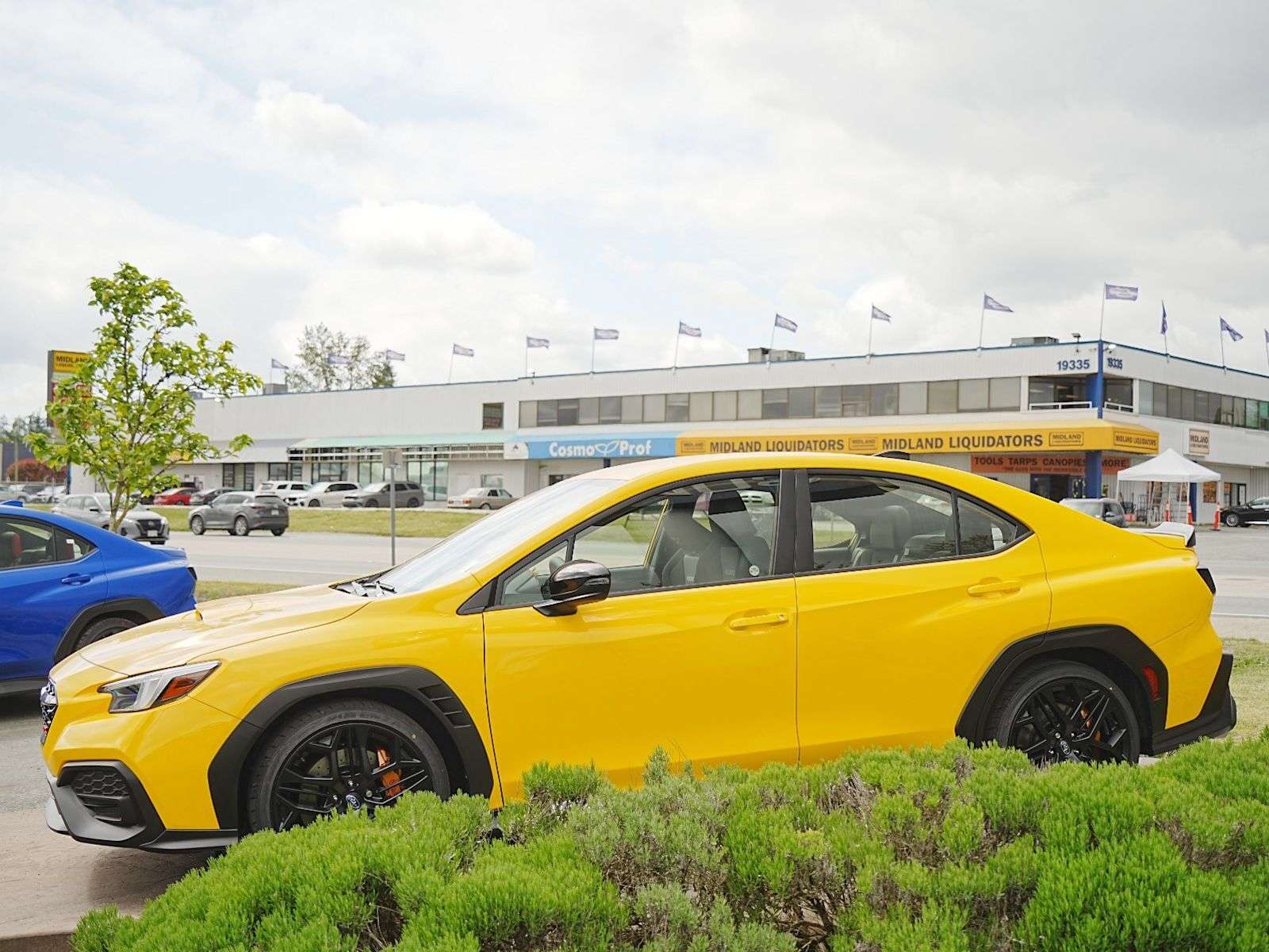 2026 Subaru WRX