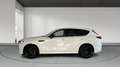 Mazda CX-60 2025 3.3 e-SKYACTIV MHEV 200CV 8AT RWD HOMURA PLUS Blanco - thumbnail 7