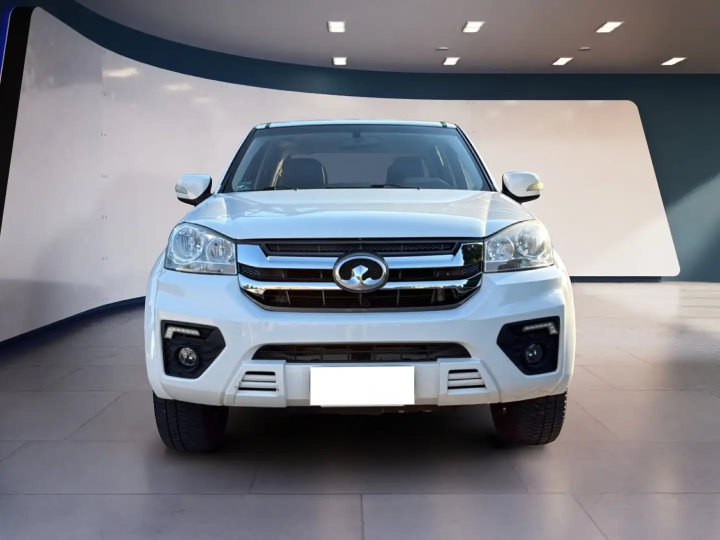 Great Wall Steed Steed6 DC 2.4 Business Gpl 4wd Weiß - 2