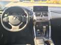 Lexus NX 300 NX 300h 2.5 Sport 4wd cvt 145kw*Garanzia 24 mesi* Grigio - thumbnail 12