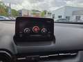Mazda CX-3 Sports-Line TEC-P *Bose*PDC*AWD*Navi* Rosso - thumbnail 14