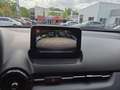 Mazda CX-3 Sports-Line TEC-P *Bose*PDC*AWD*Navi* Rosso - thumbnail 15
