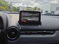 Mazda CX-3 Sports-Line TEC-P *Bose*PDC*AWD*Navi* Rosso - thumbnail 10