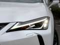 Lexus UX 250h Executive Line | CarPlay | LED | ACC | DAB+ | Came Weiß - thumbnail 9