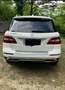 Mercedes-Benz ML 250 ML 250 BlueTEC 4MATIC Aut. DPF Weiß - thumbnail 2