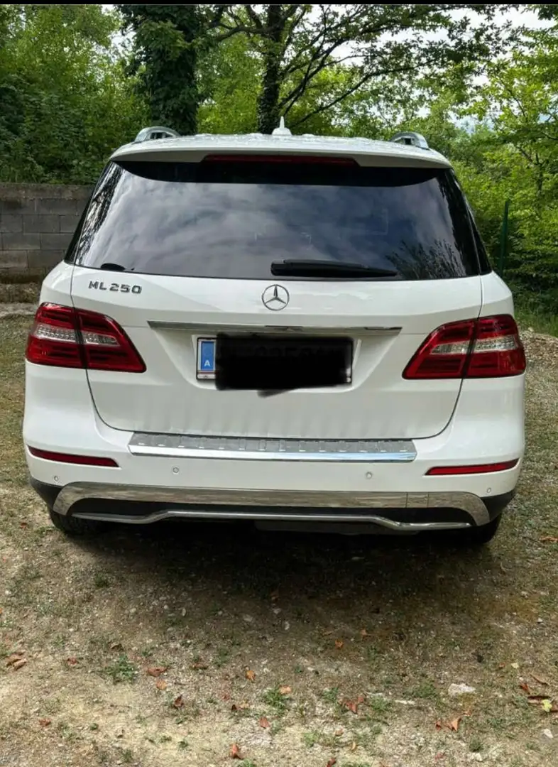 Mercedes-Benz ML 250 ML 250 BlueTEC 4MATIC Aut. DPF Weiß - 2