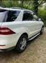 Mercedes-Benz ML 250 ML 250 BlueTEC 4MATIC Aut. DPF Weiß - thumbnail 3